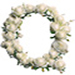 Roses type letter Q