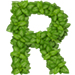 Basil letter R design