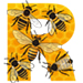 Bees letter R