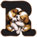 Puppies type letter R
