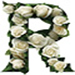 Roses type letter R
