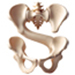 Bones letter S design