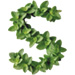 Mint letter S design