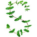 Sprig letter S design