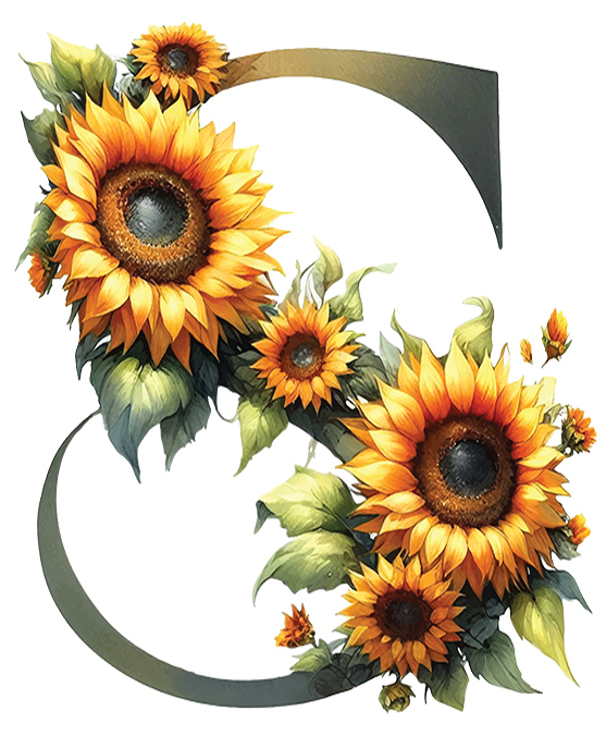 SUNFLOWERS LETTERS 