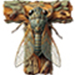 Cicada letter T
