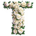 Roses type letter T