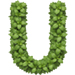 Basil letter U design