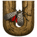 Lanternfly letter U