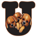 Puppies type letter U