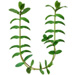 Sprig letter U design