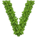 Basil letter V design