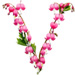 Letter V in Bleeding Hearts type design