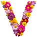 Letter V in Summer Flowers type design
