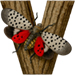 Lanternfly letter V