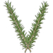 Rosemary letter V design