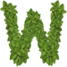 Basil letter W design