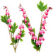 Letter W in Bleeding Hearts type design