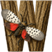 Lanternfly letter W