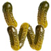 Pickles type letter W