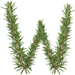 Rosemary letter W design