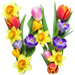 Letter W in Spring Flowers type design