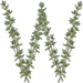 Thyme letter W design