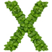 Basil letter X design