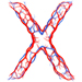 Blood type letter X