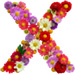 Letter X in Summer Flowers type design