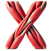 Muscles type letter X