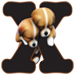 Puppies type letter X