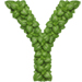 Basil letter Y design