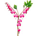 Letter Y in Bleeding Hearts type design
