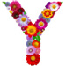 Letter Y in Summer Flowers type design