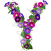 Letter Y in Morning Glory type design