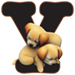 Puppies type letter Y
