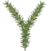 Rosemary letter Y design