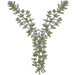 Thyme letter Y design