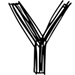 Script letter Y