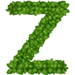 Basil letter Z design