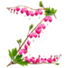 Letter Z in Bleeding Hearts type design