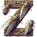 Cicada letter Z