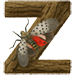 Lanternfly letter Z