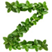 Mint letter Z design