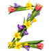 Letter Z in Spring Flowers type design
